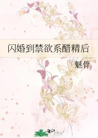 闪婚惊爱全文免费阅读