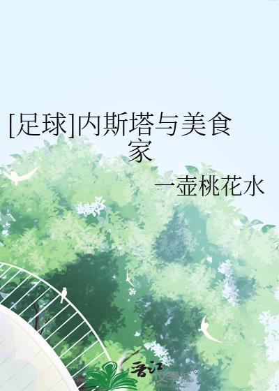 内斯塔帅照
