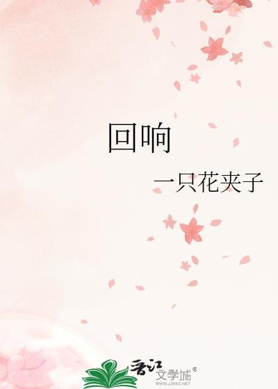回响大结局
