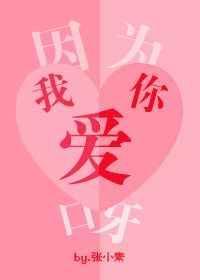 歌词 因为我爱你