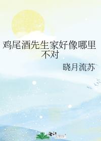 鸡尾酒师傅