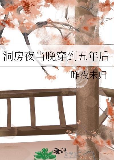 洞房夜当晚穿到五年后笔趣阁
