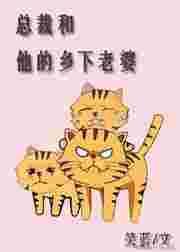 总裁和他的乡下老婆电视剧