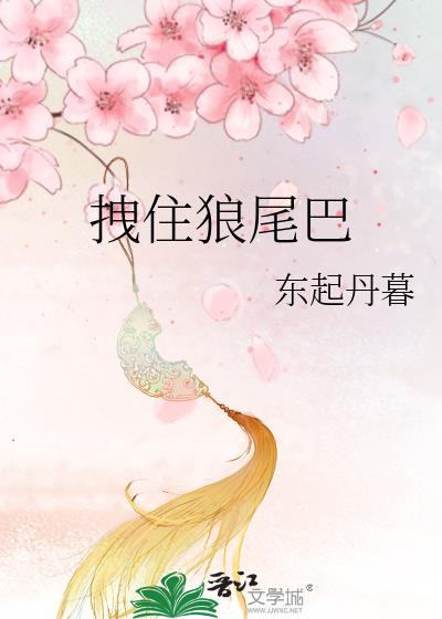 拽住狼尾巴百度TXT