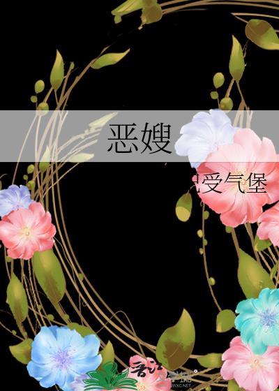 恶嫂窝囊妃