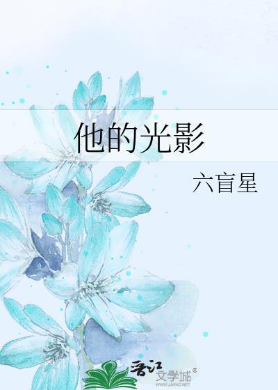 他的光影讲的是什么