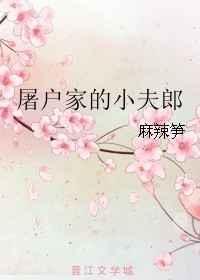屠户家的小夫郎七里濑