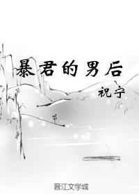 暴君的男后完整