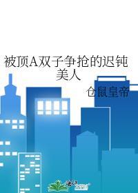 被顶A双子争抢的迟钝美人txt百度