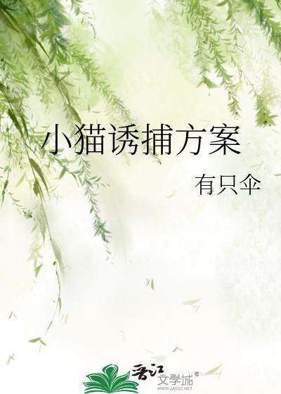 小猫诱捕方案有哪些